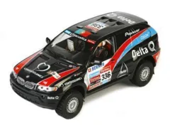 BMW X5 "Team Delta Q" Dakar 2010