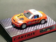 BMW-Z3 Champion Raid  (motor especial)